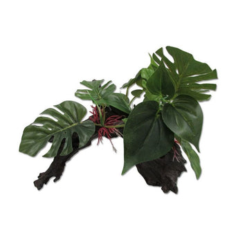 Petsleisure Reptile & Amphibian Habitat Accessories